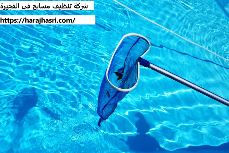شركة تنظيف مسابح في الفجيرة