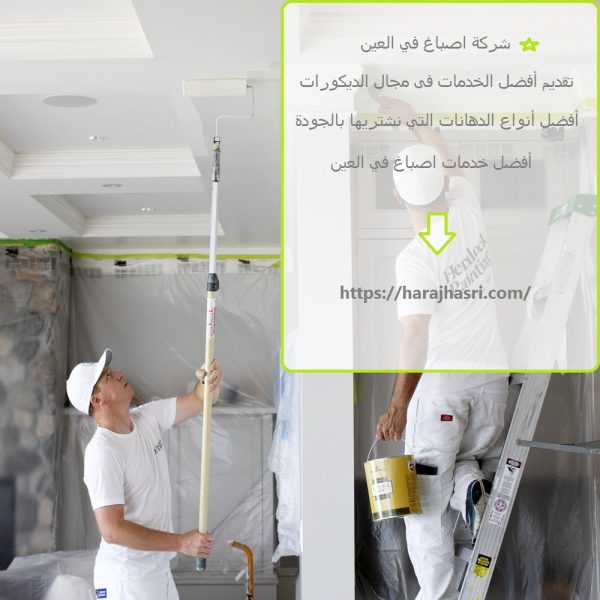 شركة اصباغ في العين